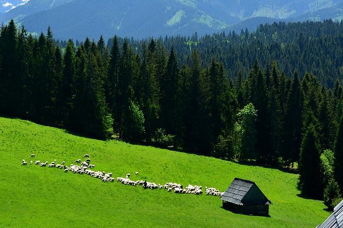 Zakopane Tour from Krakow – Highland Experience & Stunning Views - Why Zakopane feels different from Krakow