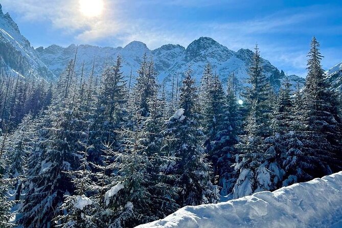 Zakopane Tour from Krakow with Thermal SPA and Hotel Pick up - Chocholowskie Termy: thermal pools to reset your whole day